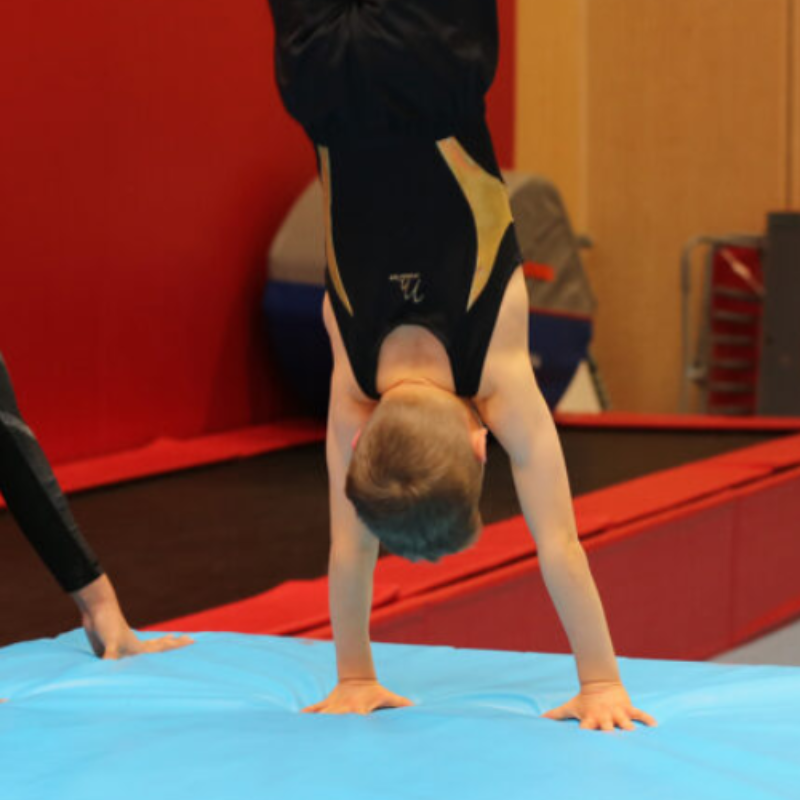 Monday 5.30pm-7pm Advanced Skills (8+)